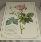 薔薇の雑貨＞2016年　ルドゥーテ壁掛けカレンダー（薔薇の香りつき）＞Pierre-Joseph Redoute Calendar＞花の部分をこすると薔薇の香りがします。 「バラの画家」ルドゥーテの2016年カレンダーです。＞ （51.5cm × 36.3㎝）