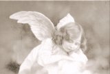 アンティーク・レプリカ・ポストカード　 天使　＜天使のポストカード＞