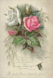 アンティーク・レプリカ・ポストカード　白とピンクのバラ　＜薔薇のポストカード＞