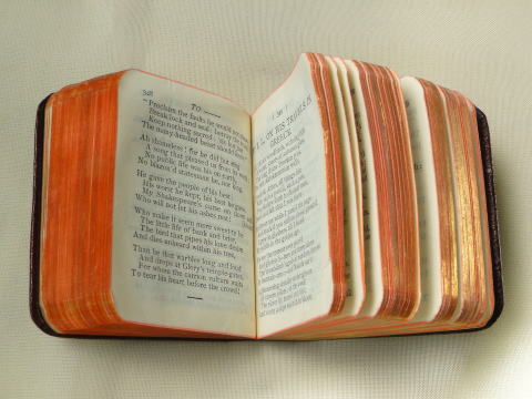 アンティーク雑貨＞ミニチュア本＞アルフレッド・テニスンの詩集＞ヴィクトリア朝時代のイギリス詩人、アルフレッド・テニスンの詩集。ミニチュアサイズのアンティーク・ブックです。
