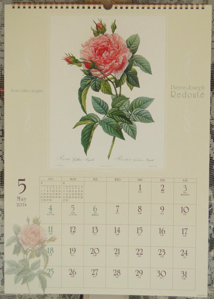 薔薇の雑貨＞2014年版 カレンダー＞ ルドゥーテ・カレンダー＞ルドゥーテ、薔薇のボタニカルアート＞ スクエアーの迫力ある大きさのカレンダー（515*363㎜）
