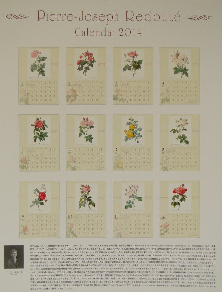薔薇の雑貨＞2014年版 カレンダー＞ ルドゥーテ・カレンダー＞ルドゥーテ、薔薇のボタニカルアート＞ スクエアーの迫力ある大きさのカレンダー（515*363㎜）