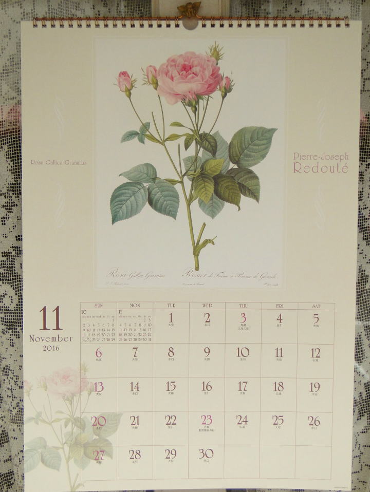 薔薇の雑貨＞2016年　ルドゥーテ壁掛けカレンダー（薔薇の香りつき）＞Pierre-Joseph Redoute Calendar＞花の部分をこすると薔薇の香りがします。 「バラの画家」ルドゥーテの2016年カレンダーです。＞ （51.5cm × 36.3㎝）