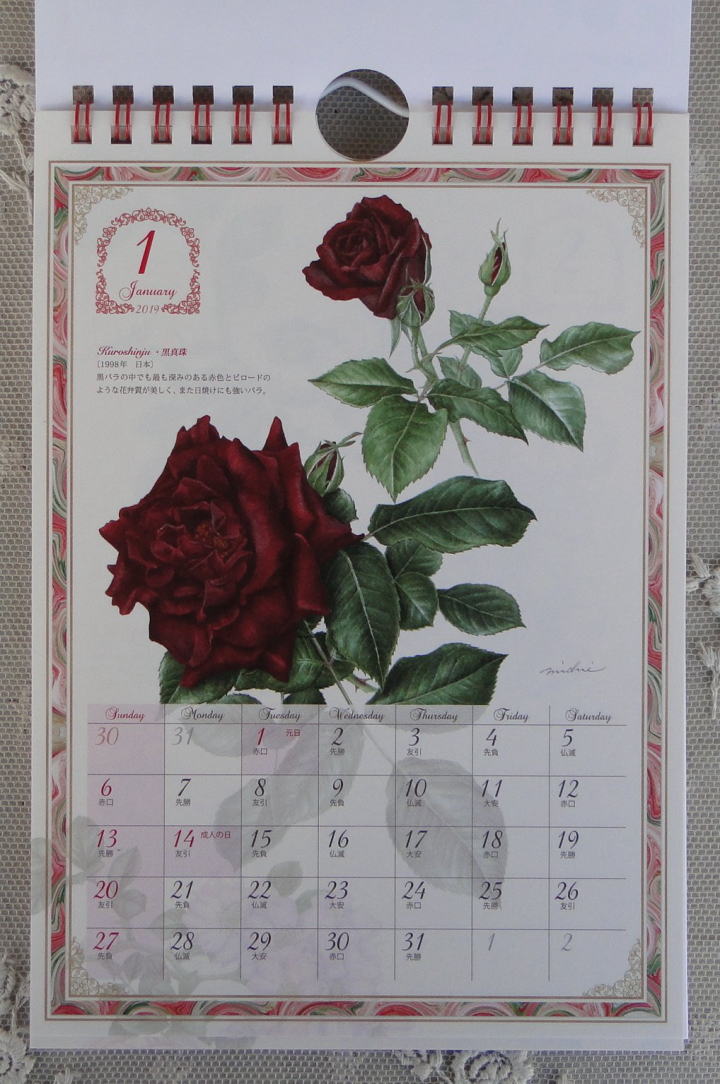 薔薇の雑貨＞フロンティア＞2019年 カレンダー（クラシックローズ）＞ 植物画家　山田 道惠による薔薇のデザインのカレンダーです。 壁掛け卓上両用　　（20×14㎝）