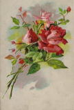 アンティーク・レプリカ・ポストカード　赤いバラ　＜薔薇のポストカード＞
